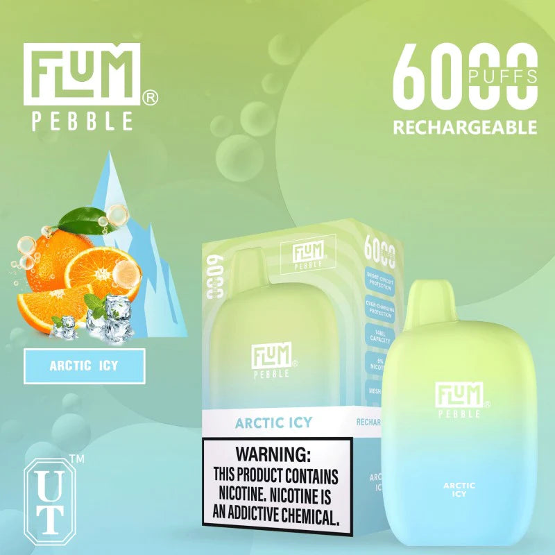 FLUM PEBBLE 6000 DISPOSABLE