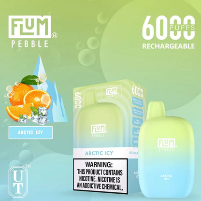 FLUM PEBBLE 6000 DISPOSABLE