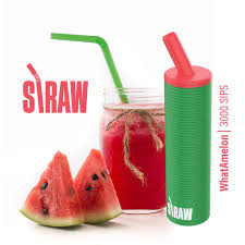 Gost Straw Disposable Vape (5%, 3000 Puffs)